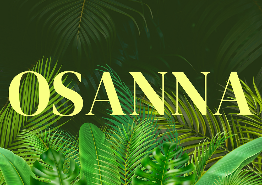 Cosa significa "Osanna" nella Bibbia?